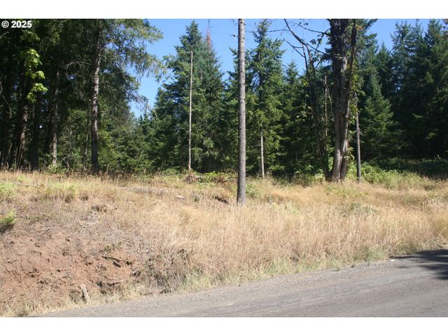 3647 Briar Knob Loop Ne, Scotts Mills, OR 97375