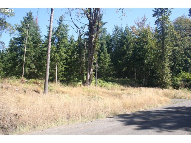 3647 Briar Knob Loop Ne, Scotts Mills, OR 97375
