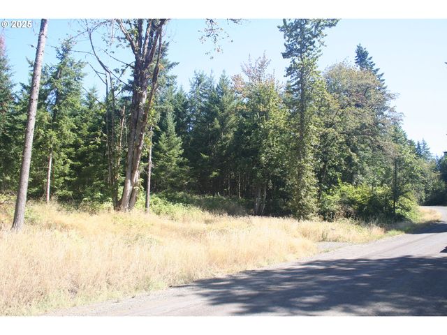 3647 Briar Knob Loop Ne, Scotts Mills, OR 97375