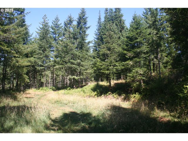 3647 Briar Knob Loop Ne, Scotts Mills, OR 97375