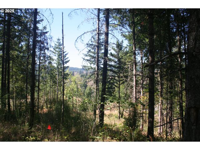 3647 Briar Knob Loop Ne, Scotts Mills, OR 97375