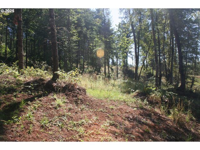 3647 Briar Knob Loop Ne, Scotts Mills, OR 97375