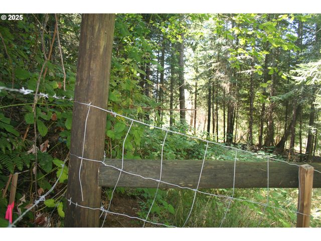 3647 Briar Knob Loop Ne, Scotts Mills, OR 97375