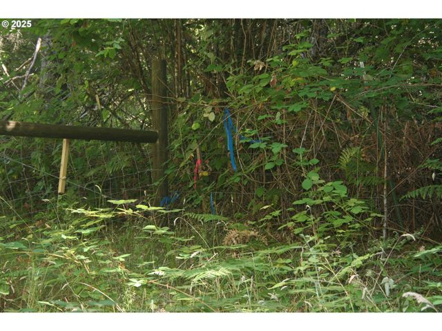 3647 Briar Knob Loop Ne, Scotts Mills, OR 97375