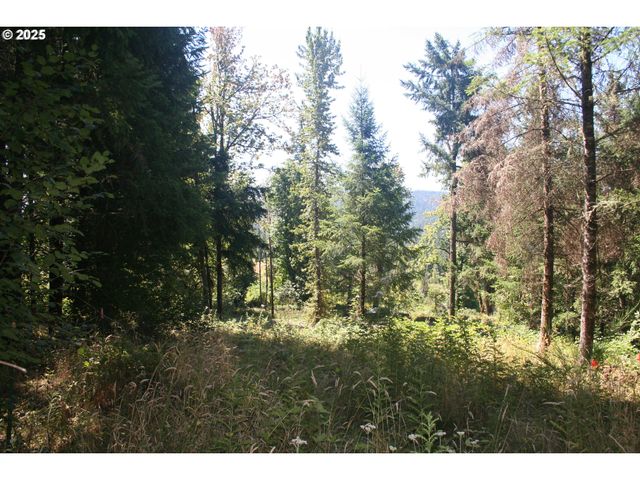 3647 Briar Knob Loop Ne, Scotts Mills, OR 97375