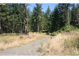 3647 Briar Knob Loop Ne, Scotts Mills, OR 97375