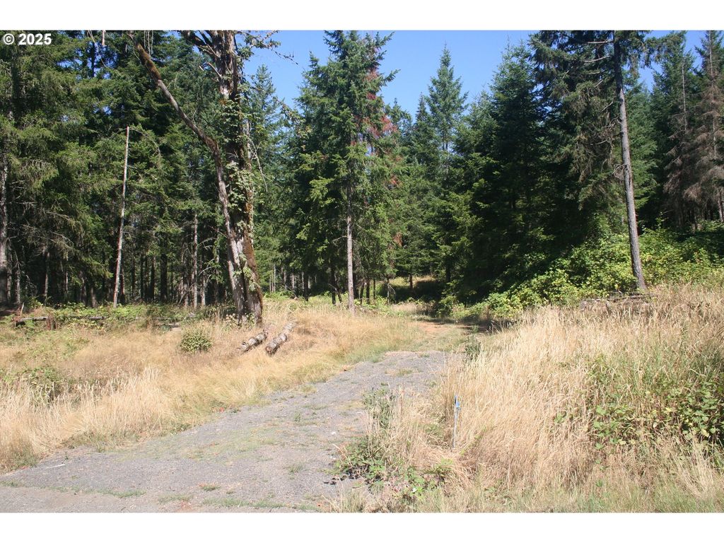 3647 Briar Knob Loop Ne, Scotts Mills, OR 97375