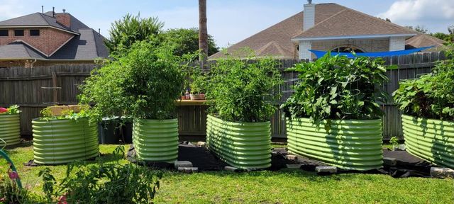 7034 Pleasure Lake Drive, Willis, TX 77318