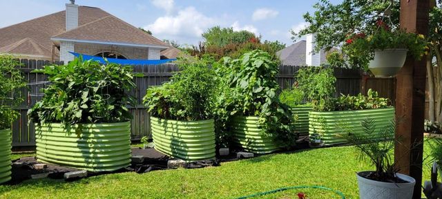 7034 Pleasure Lake Drive, Willis, TX 77318