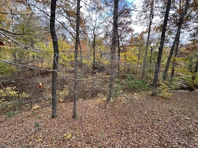 184 McDuff Ln, Camden, TN 38320