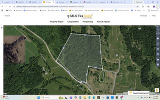 0 Love Branch Road, Hampshire, TN 38461