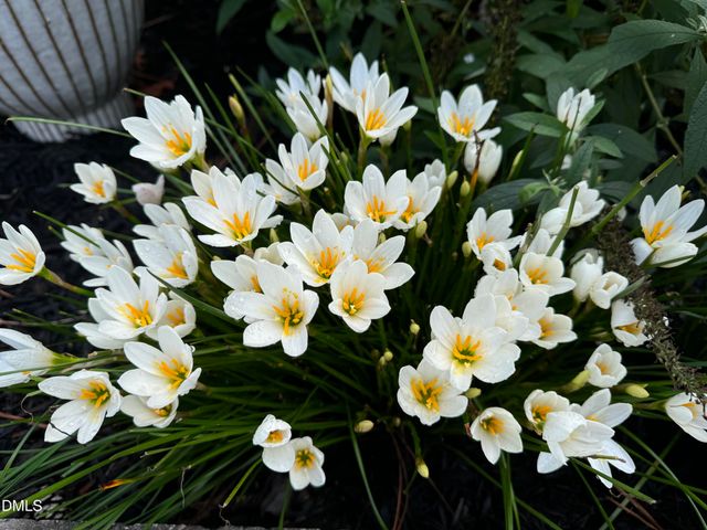 3645 Old Fairground Road, Angier, NC 27501