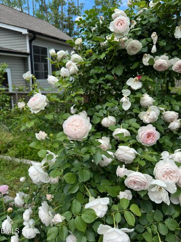 3645 Old Fairground Road, Angier, NC 27501