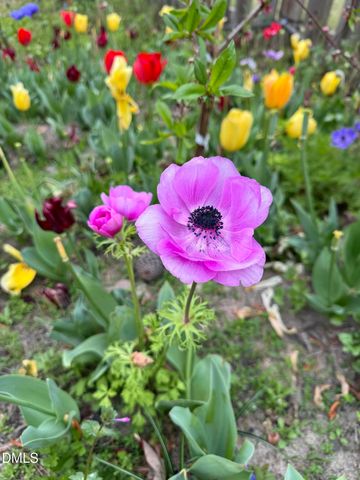 3645 Old Fairground Road, Angier, NC 27501