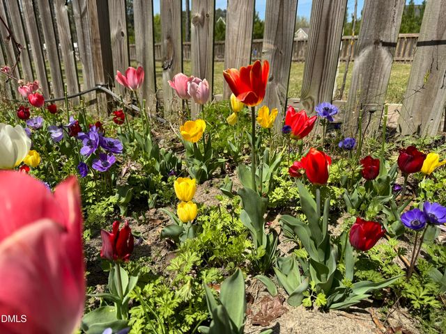 3645 Old Fairground Road, Angier, NC 27501