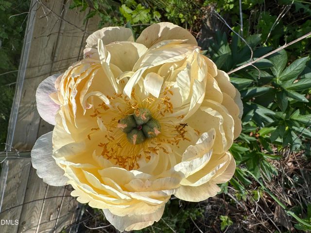 3645 Old Fairground Road, Angier, NC 27501