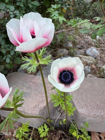 3645 Old Fairground Road, Angier, NC 27501