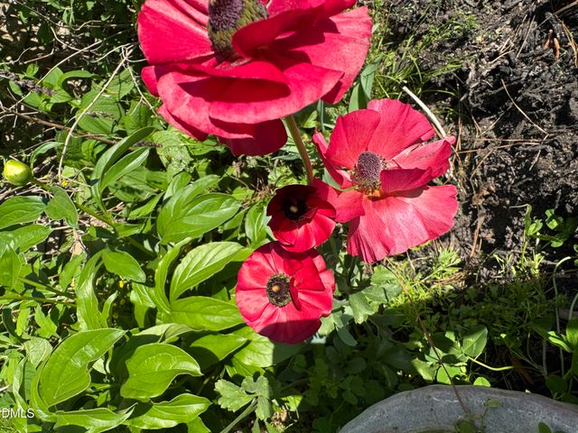 3645 Old Fairground Road, Angier, NC 27501