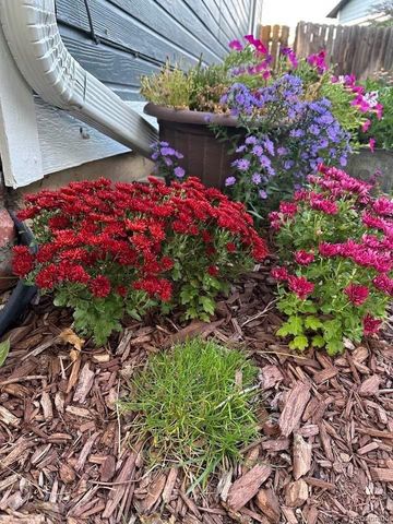 8620 Wildrye Circle, Parker, CO 80134