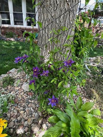 8620 Wildrye Circle, Parker, CO 80134