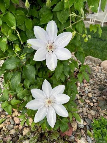 8620 Wildrye Circle, Parker, CO 80134