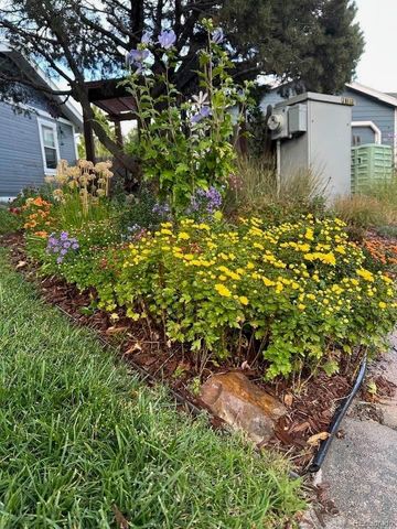 8620 Wildrye Circle, Parker, CO 80134