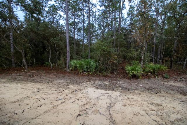 3818 W BIRDS NEST DRIVE, Beverly Hills, FL 34465