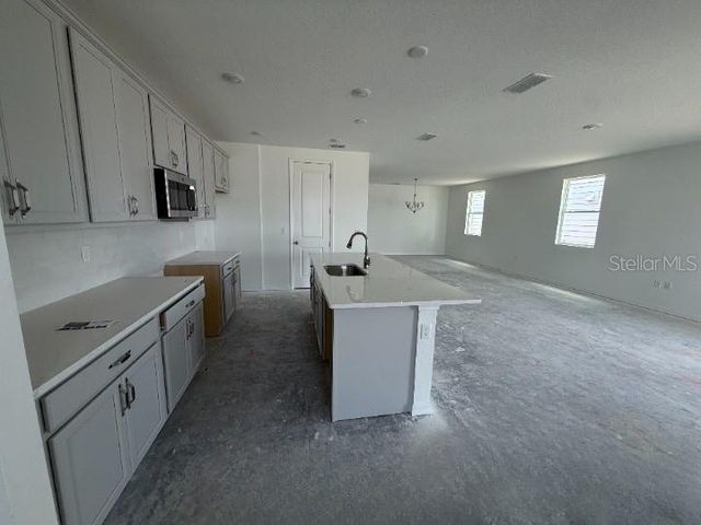 30154 RUSTIC MILL ST., Mount Dora, FL 32757
