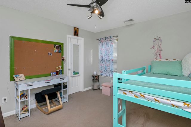 86 Crossfox Court, Chapin, SC 29036