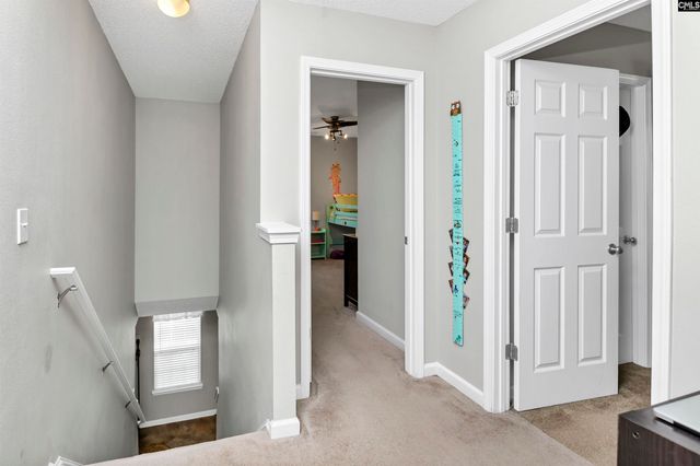 86 Crossfox Court, Chapin, SC 29036