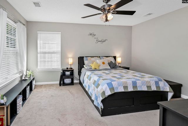 86 Crossfox Court, Chapin, SC 29036