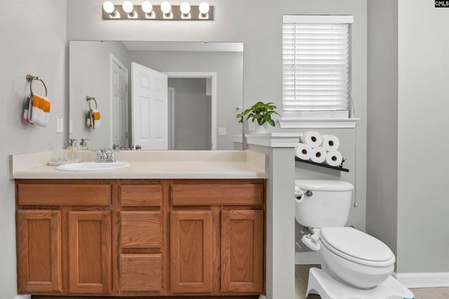 86 Crossfox Court, Chapin, SC 29036