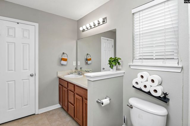 86 Crossfox Court, Chapin, SC 29036