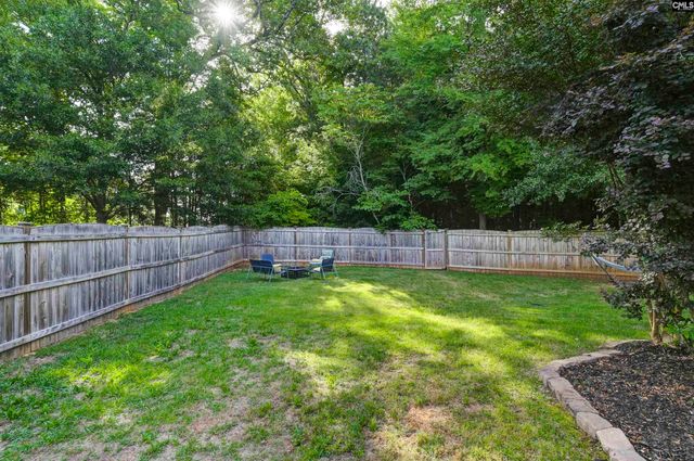 86 Crossfox Court, Chapin, SC 29036