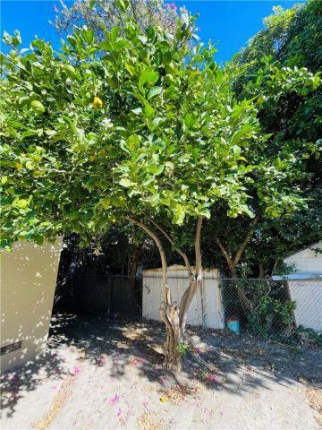 1852 Grier, Pomona, CA 91766