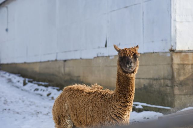 Address unavailable.