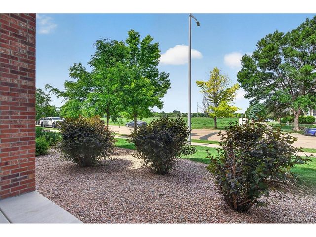 804 Summer Hawk Dr 8105, Longmont, CO 80504