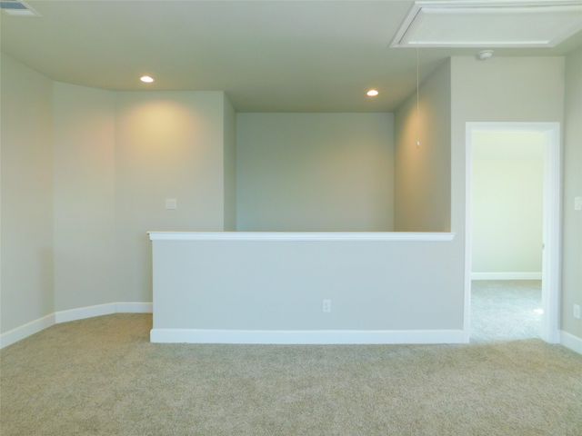 1021 Pitch Pine Street, Hickory Creek, TX 75065
