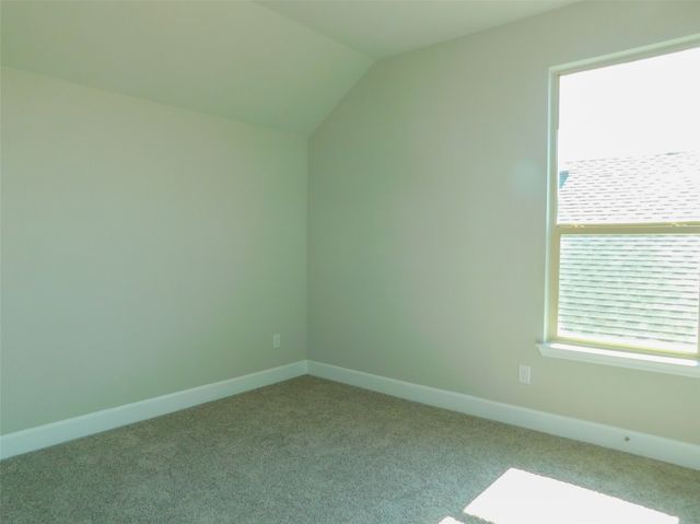 1021 Pitch Pine Street, Hickory Creek, TX 75065