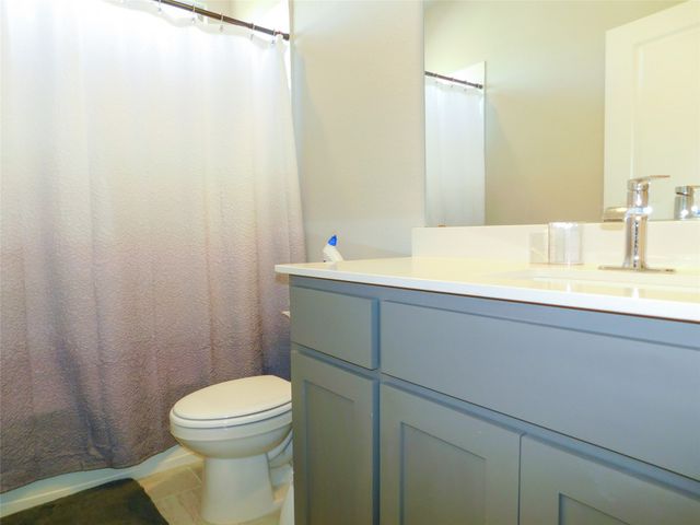 1021 Pitch Pine Street, Hickory Creek, TX 75065