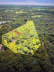 Young Drive, Odessa, MO 64076