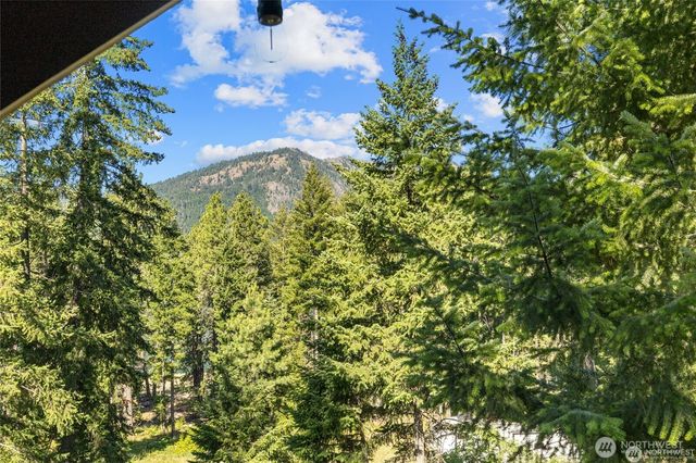 7 Moonshine Lane, Ronald, WA 98940