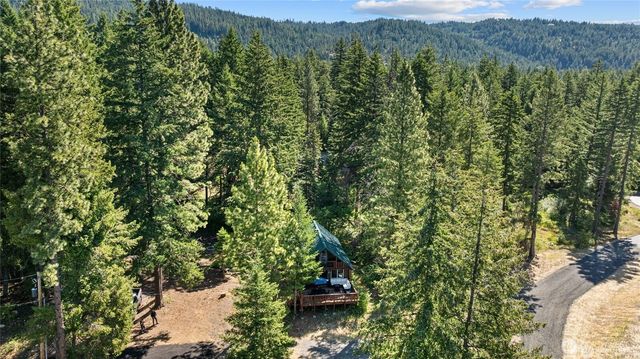 7 Moonshine Lane, Ronald, WA 98940