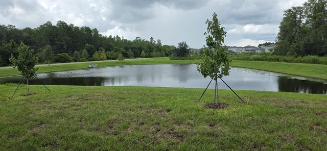 17837 17837 GRASSYBEND LOOP, Land O Lakes, FL 34638