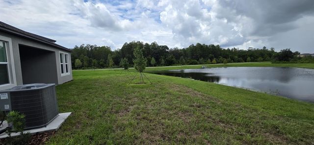 17837 17837 GRASSYBEND LOOP, Land O Lakes, FL 34638