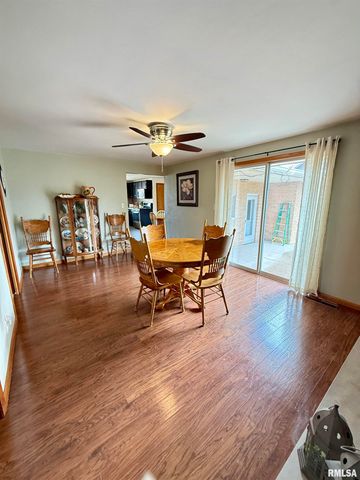 102 S SUNRISE Street, Roanoke, IL 61561