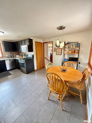 102 S SUNRISE Street, Roanoke, IL 61561