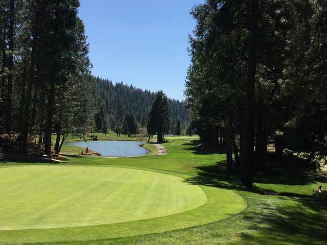 2418 Meadow Dr, Arnold, CA 95223