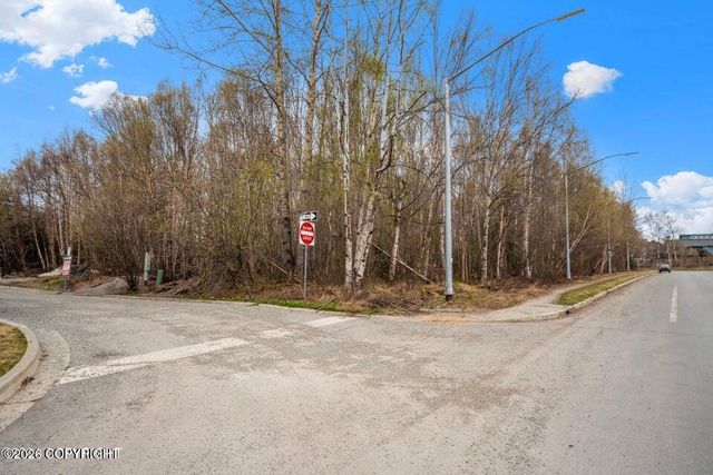 7210 Meadow Street, Anchorage, AK 99507