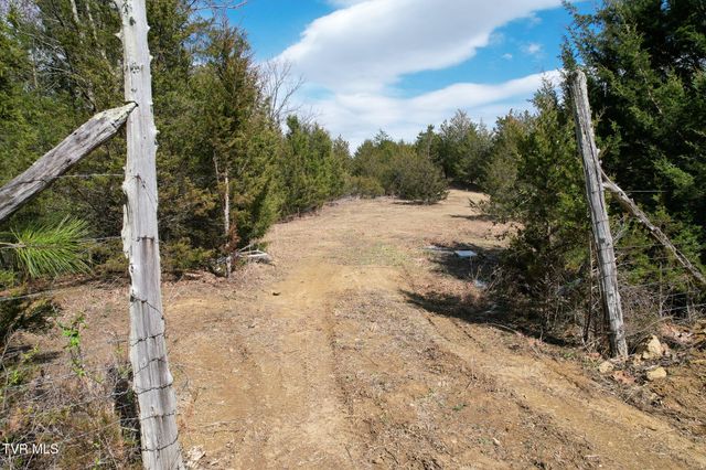 480 Obe Kirk Loop, Mohawk, TN 37810